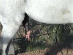 Unleash Your Wild Side: Download Free Horse Borne Sex XXX Zoo Porn Now!