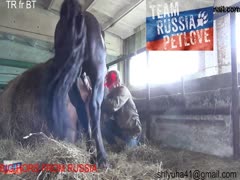Horse Porn  - Fuck Curly Girl