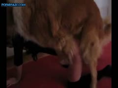 Sexy Blonde Ass up for dog rape