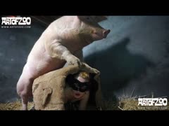 Pig girl fuck Zoophile female