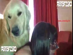 Dog fucks the girl in mask - Animal porn