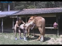 Young Couple have threesome with horse Fuck Free - Animal Porn Free