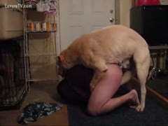 Young Slut Having Sex With Good Dog
