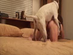 POV dog fuck girl HD - Animal sex hard