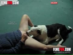 Good Dog Licking Pussy of Brunette Girl