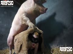 Girl pig fuck Farm woman