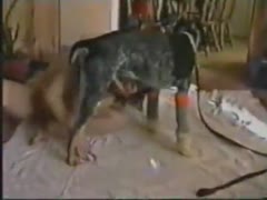 Dog fuck girl from behind on sex