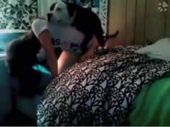 Nice girl gets nailed by cute dog - Animal sex