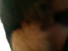 Angry Dog Fucking Girl In Bed