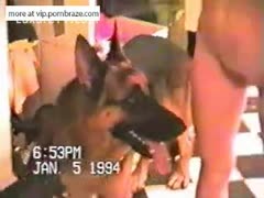 Bad dog porno
