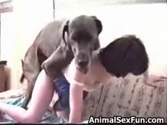 Erotic videos girls and dogs