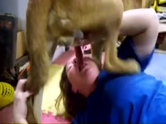 Dog fuck video with brutal deepthroat