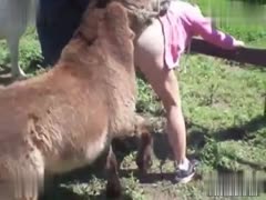 Witness the Unthinkable: A Husband Asks His Wife to Allow a Donkey to Have Unconsented Sex with Her - And She Agrees!