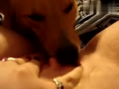 Wild Woman Captures Priceless Moment as Dog Licks Her Bawdy Cleft!
