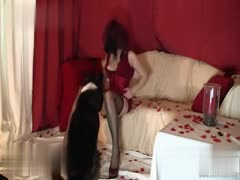 Witness the Most Intense Zoophile Experience Ever: Watch This Well-Trained Dog Pleasure His Mistress!