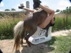 Zoo sex xxx zoo free download free porn sex, man gets fucked by horse on the farm outside - Zoo Porn Horse Sex.
