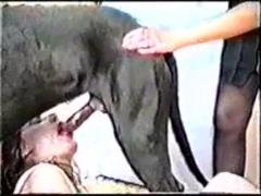 Woman with brown hair gets raped by her new black pet dog in the zoo in this free zoo sex video from Zoophilia.