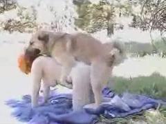 Outdoor fucking between a brown-haired babe and her dog - Zoo Porn Dog Sex, Zoophilia