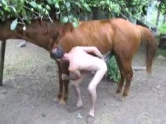 Horse cock animal porn with a balding homosexual guy fucking himself - Zoo Porn Horse Sex, Zoophilia